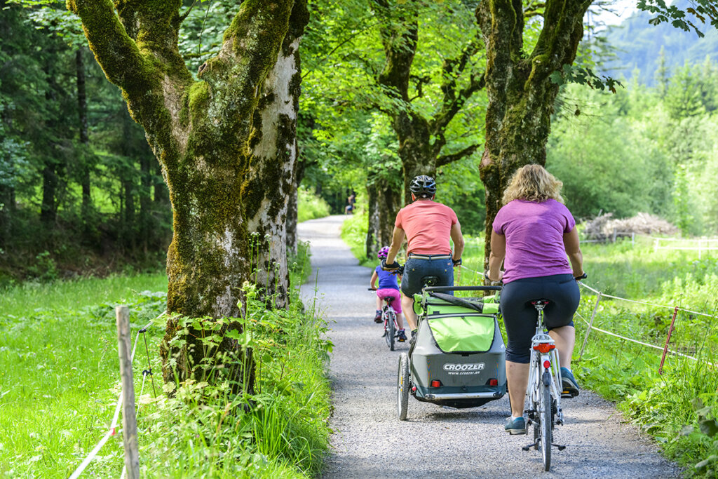 Familie fietsen met fietsendrager