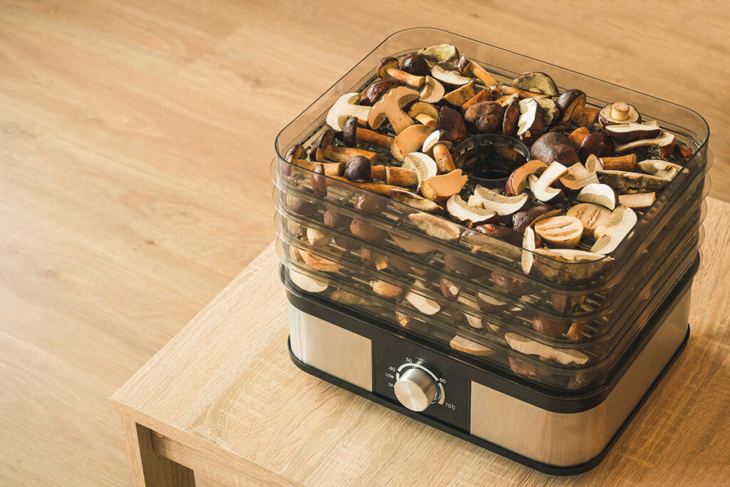 dehydrator op tafel met gedroogde groenten