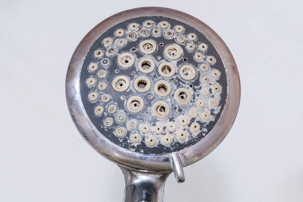 shower-head