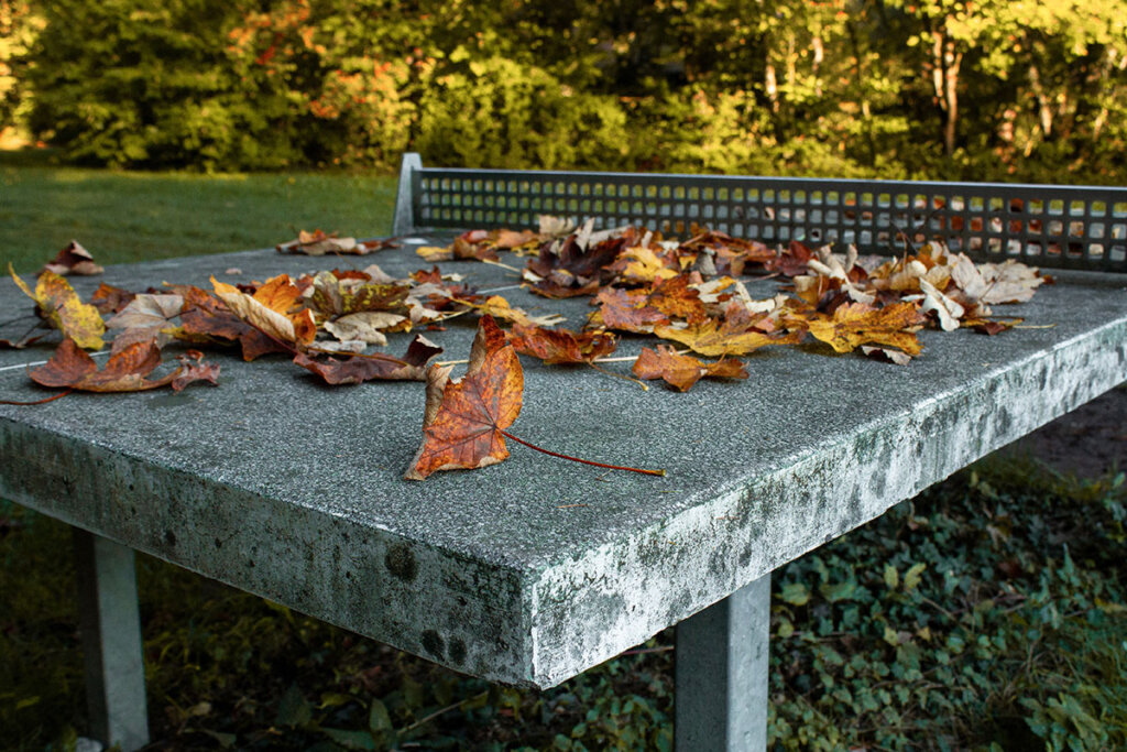 Stenen tafeltennistafel in de herfst met gebladerte